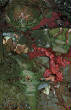 cCSkcpage6.jpg